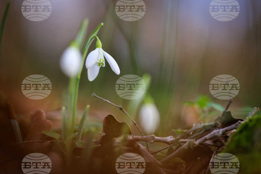 Прогноза за времето