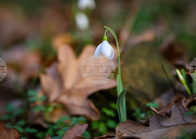 Прогноза за времето