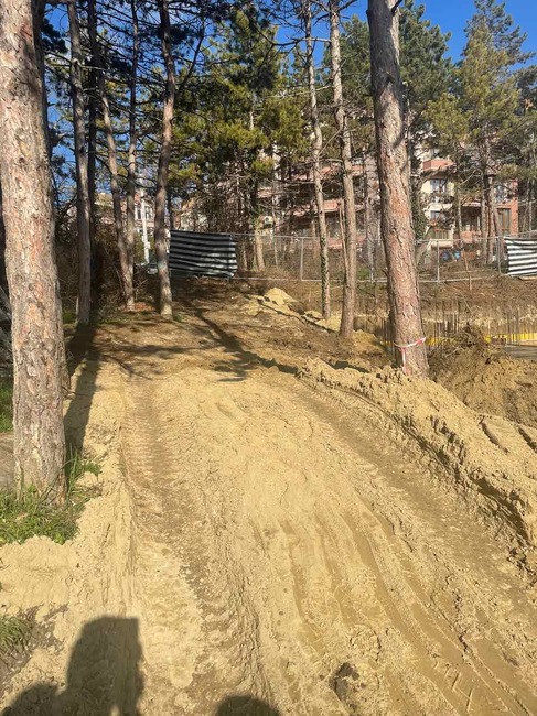Няма сеч на дървета в района на Паметника на българо-съветската дружба в момента, установи проверка на Община Варна