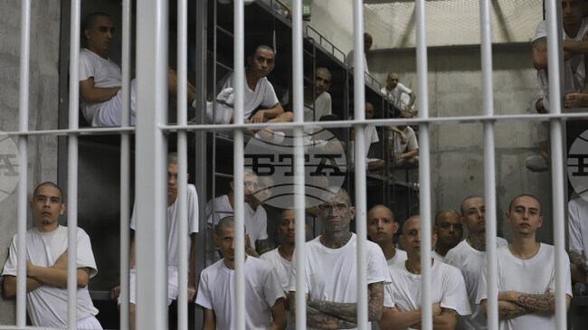 Салвадор ще заведе 600 колективни дела срещу заподозрени членове на банди