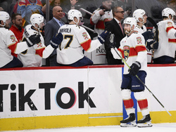 Panthers Capitals Hockey