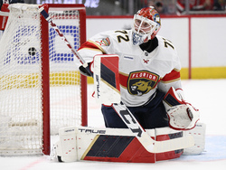 Panthers Capitals Hockey