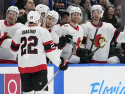 Senators Lightning Hockey