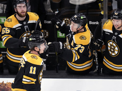 Wild Bruins Hockey