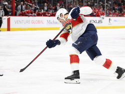 Panthers Capitals Hockey