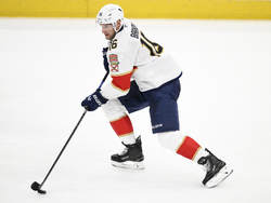 Panthers Capitals Hockey