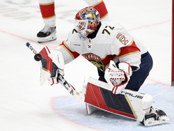 Panthers Capitals Hockey