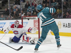 Canadiens Sharks Hockey