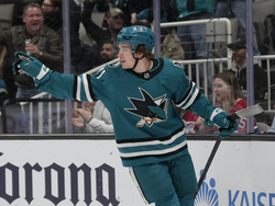 Canadiens Sharks Hockey
