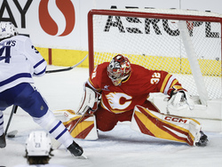 Maple Leafs Flames Hockey