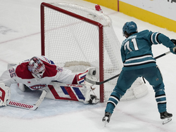 Canadiens Sharks Hockey