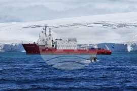 RSV 421 Crew Conducts Survey of Emona Bay Rocks on Livingstone Island