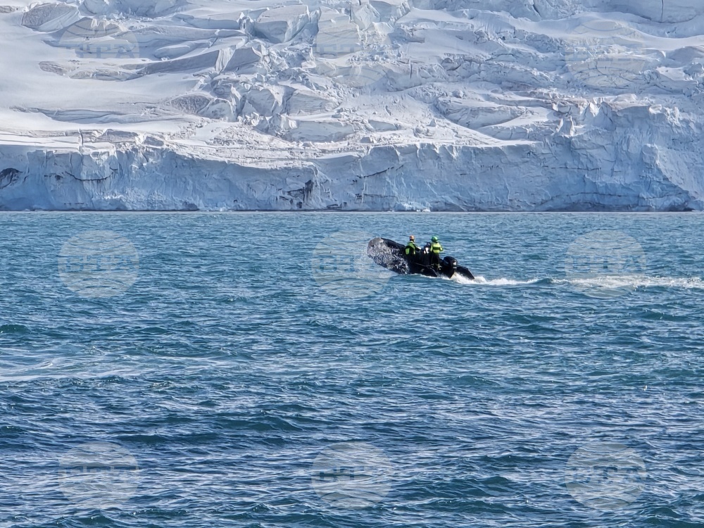 RSV 421 Crew Conducts Survey of Emona Bay Rocks on Livingstone Island