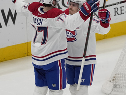 Canadiens Sharks Hockey