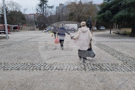 Добрич - Борса за семена и посадъчен материал