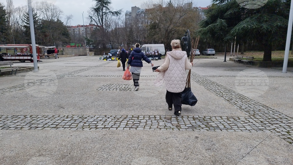 Добрич - Борса за семена и посадъчен материал
