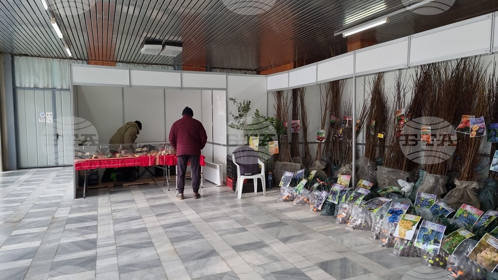 Добрич - Борса за семена и посадъчен материал