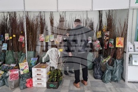 Добрич - Борса за семена и посадъчен материал