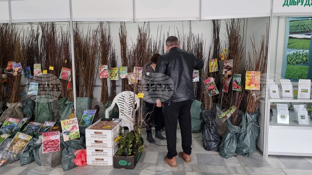 Добрич - Борса за семена и посадъчен материал