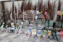 Добрич - Борса за семена и посадъчен материал