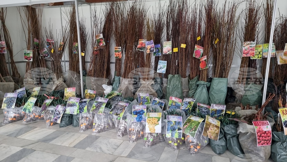 Добрич - Борса за семена и посадъчен материал