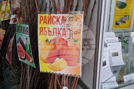 Добрич - Борса за семена и посадъчен материал