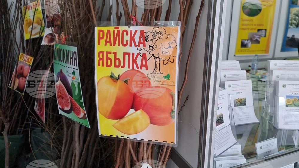 Добрич - Борса за семена и посадъчен материал