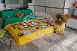 Добрич - Борса за семена и посадъчен материал