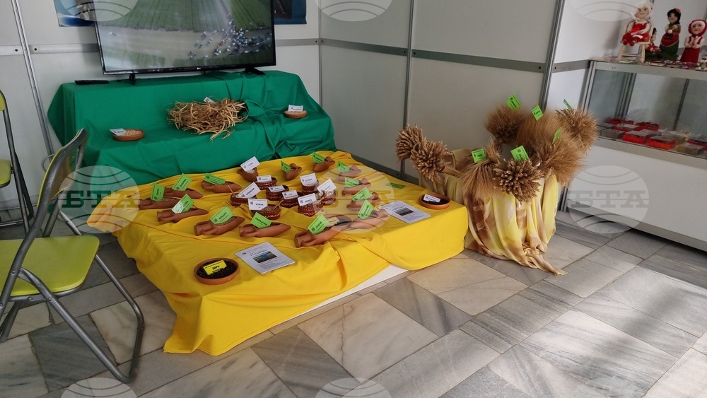 Добрич - Борса за семена и посадъчен материал