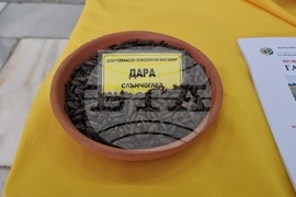 Добрич - Борса за семена и посадъчен материал