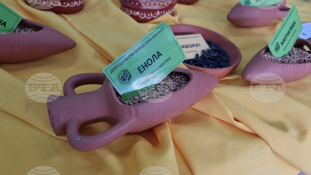 Добрич - Борса за семена и посадъчен материал