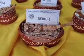 Добрич - Борса за семена и посадъчен материал