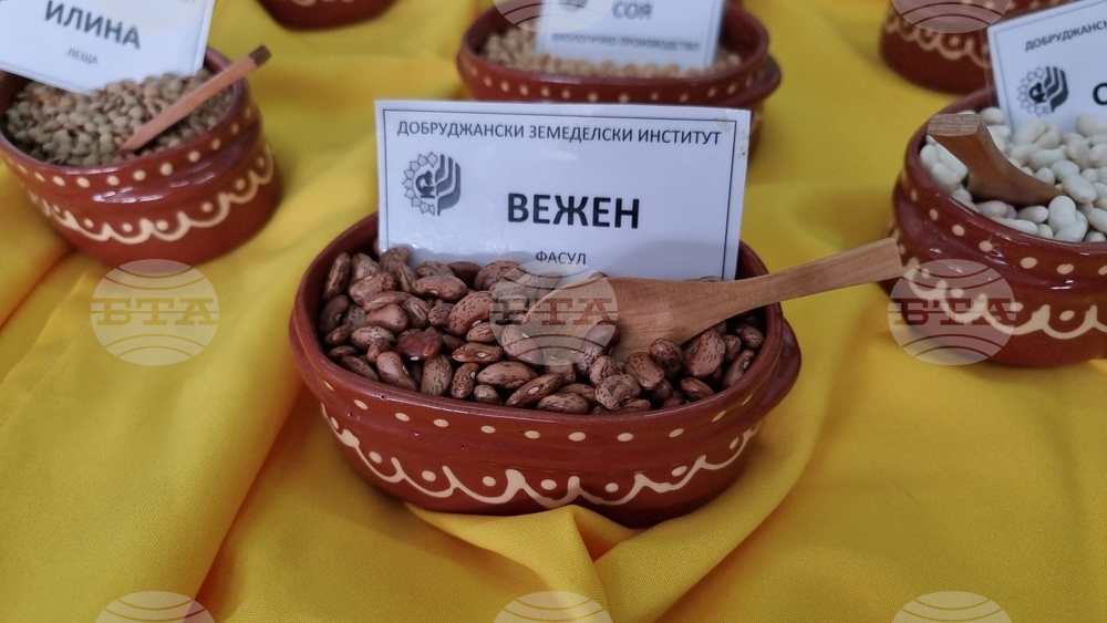 Добрич - Борса за семена и посадъчен материал