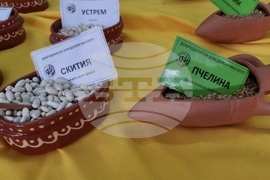 Добрич - Борса за семена и посадъчен материал