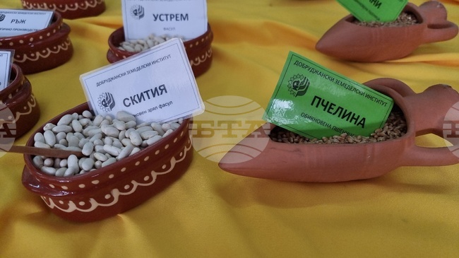 Добрич - Борса за семена и посадъчен материал