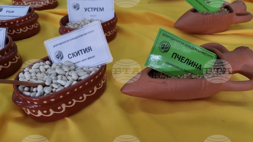 Добрич - Борса за семена и посадъчен материал