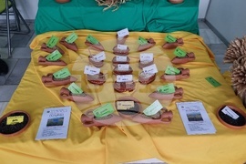 Добрич - Борса за семена и посадъчен материал