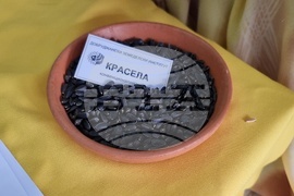 Добрич - Борса за семена и посадъчен материал