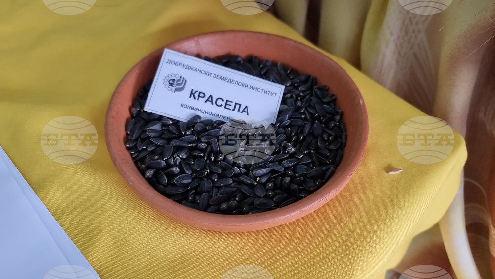 Добрич - Борса за семена и посадъчен материал