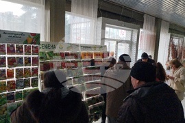 Добрич - Борса за семена и посадъчен материал