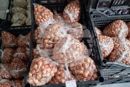 Добрич - Борса за семена и посадъчен материал