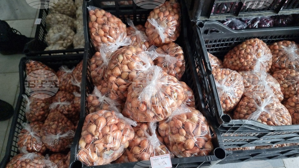 Добрич - Борса за семена и посадъчен материал