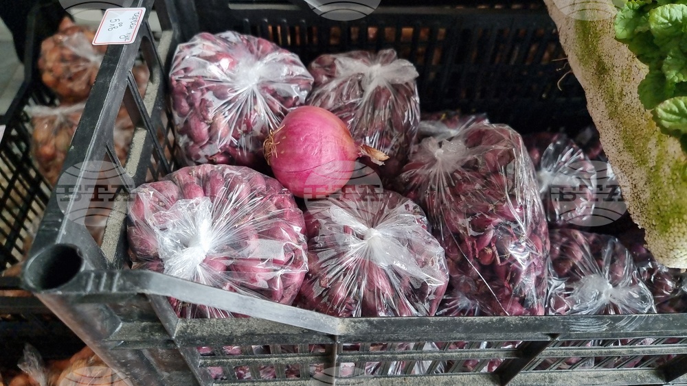 Добрич - Борса за семена и посадъчен материал