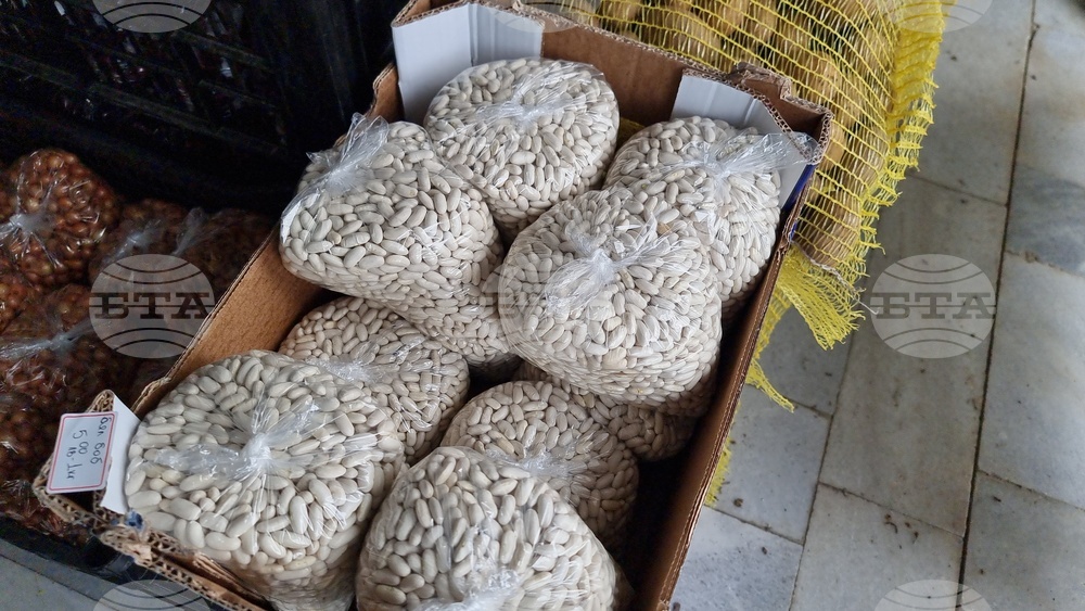 Добрич - Борса за семена и посадъчен материал