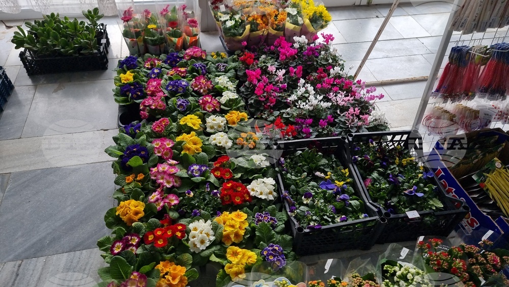 Добрич - Борса за семена и посадъчен материал