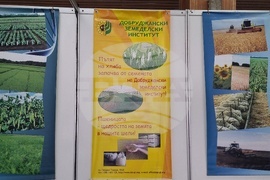 Добрич - Борса за семена и посадъчен материал