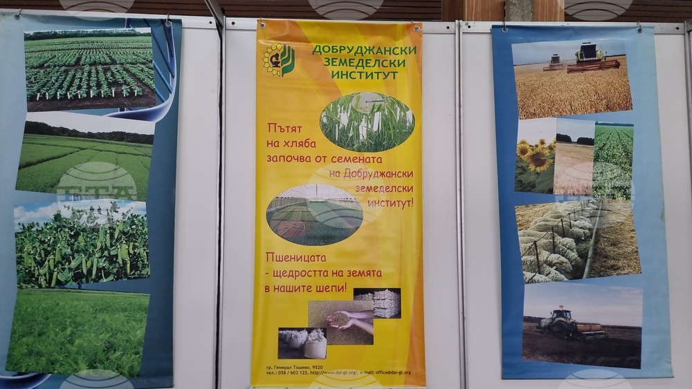 Добрич - Борса за семена и посадъчен материал