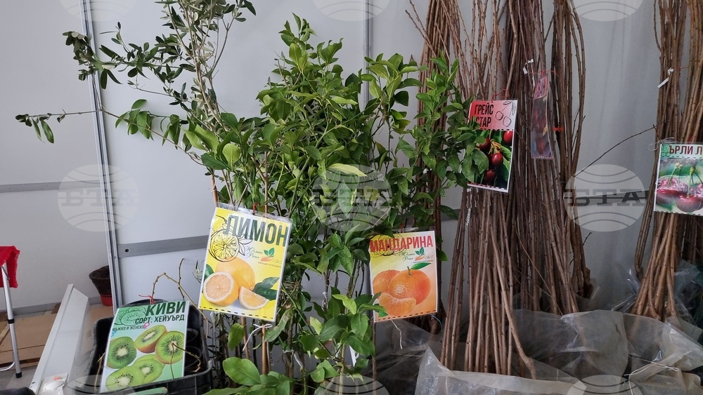 Добрич - Борса за семена и посадъчен материал