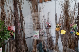 Добрич - Борса за семена и посадъчен материал