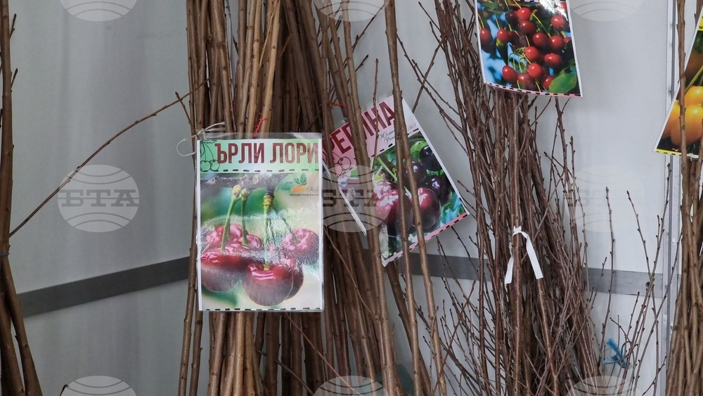 Добрич - Борса за семена и посадъчен материал